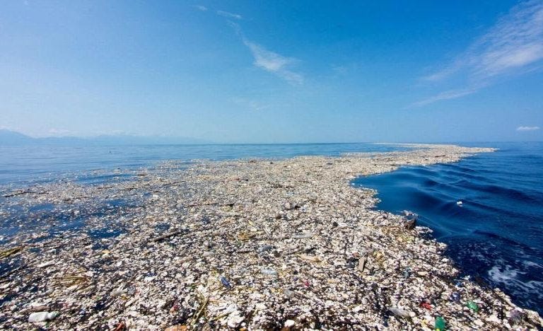 Ancaman Sampah Plastik untuk Ekosistem Laut Harus Segera ...