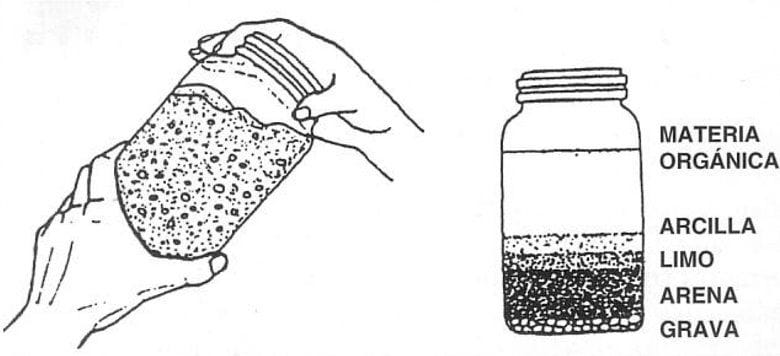 Prueba de sedimentación