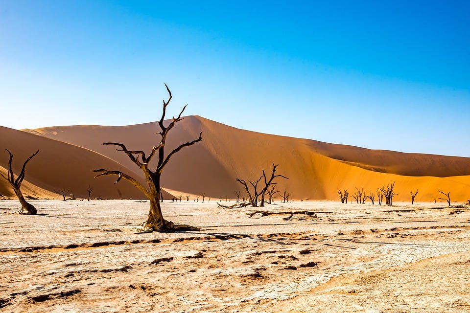 Namibia, Deadvlei, Desert, Dessert, Drought, Hot, Brown