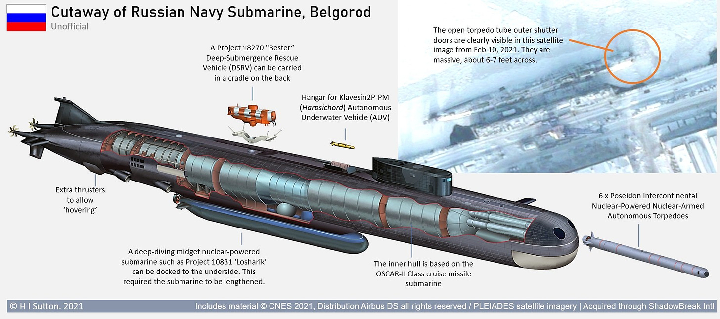 New Satellite Images Hint How Russian Navy Could Use Massive Nuclear  Torpedoes - USNI News