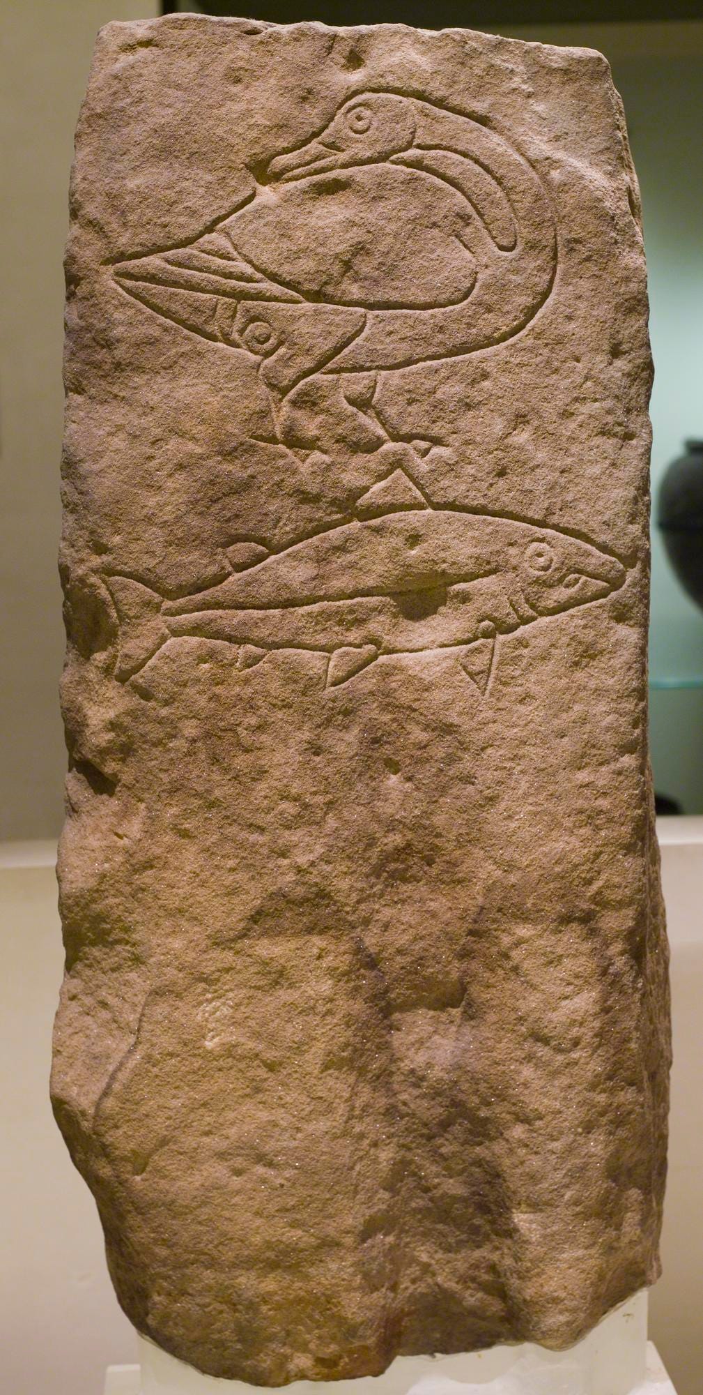 A photo of the Class I Pictish symbol stone found at Easterton of Roseisle in 1894. It has two incised symbols, a goose above a salmon.