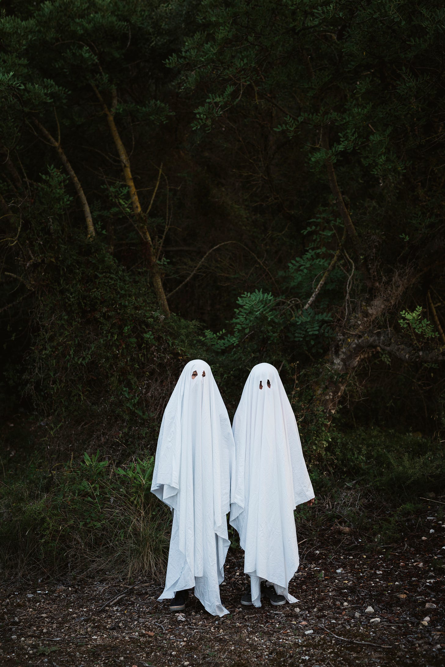 2 classic cut out eyes in white sheets Halloween ghosts standing in front of a forest