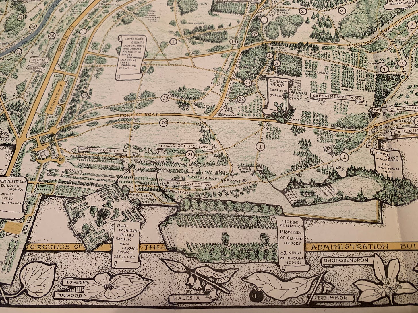 Inset of May Watts' Arboretum map, showing the near East side of the Arboretum, hedge collection, and steps without the four columns.