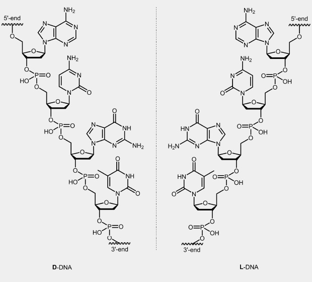 biomers.net | L-DNA - biomers.net Oligonucleotides