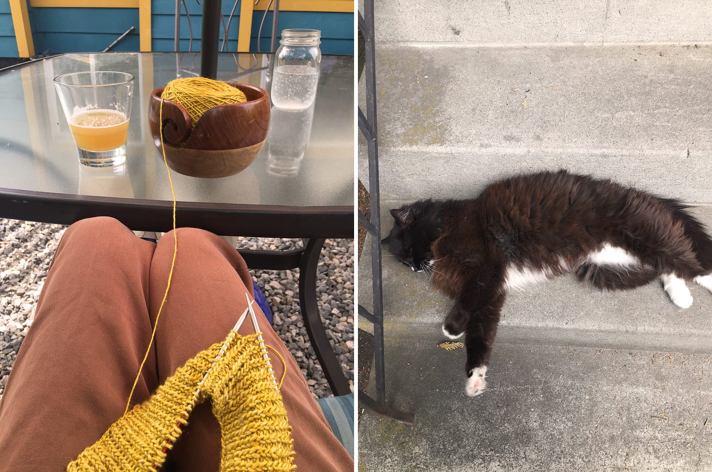 Left image: in the foreground, mustard-yellow knitting rests on my legs. I am wearing light brown pants. Behind them on a patio table is a half-full glass of beer, a glass of water, and a ball of yarn in a two-toned wooden yarn bowl. Right image: on a set of cement stairs, a fluffy black and white cat is stretched out with his eyes closed.