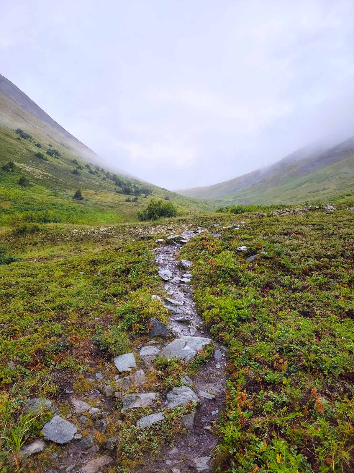 rock trail in the mountains of Alaska. 