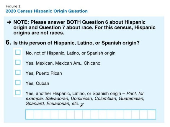Figure 1. 2020 Census Hispanic Origin Question