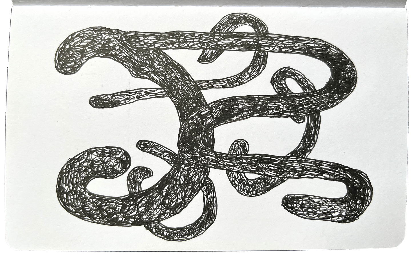 ink drawing of wormy worms