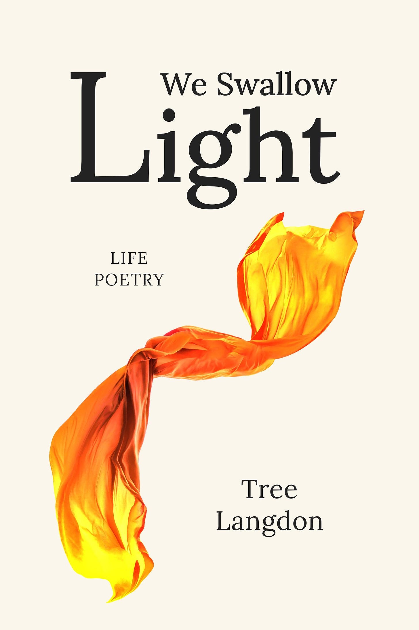 front cover for We Swallow Light, a book of poems by Tree Langdon