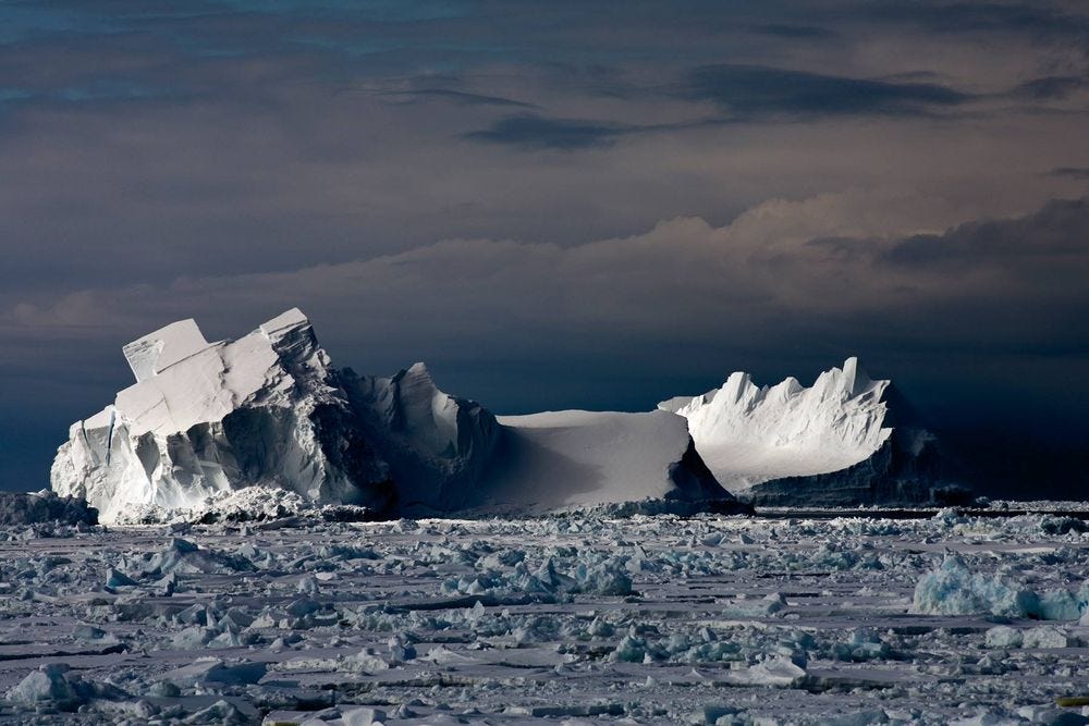Floating Icebergs in Drift Ice © Camille Seaman