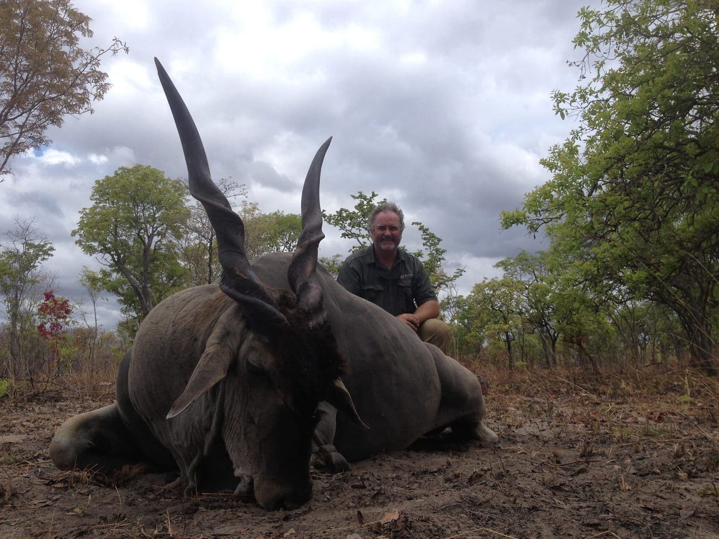 Hunting in Mozambique | Mozambique Hunting Concessions