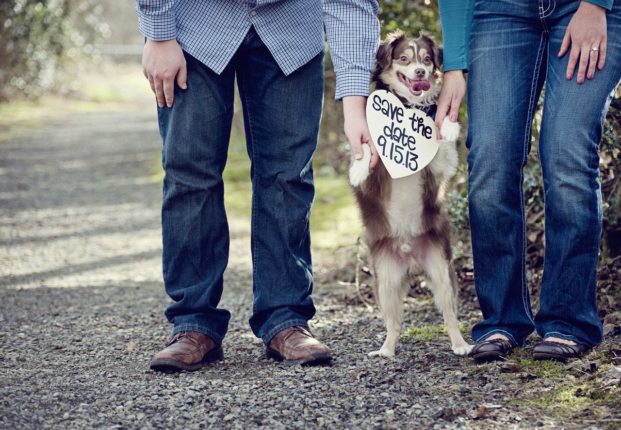 Engagement dog photo | Dog photos, Wedding pictures, Photo
