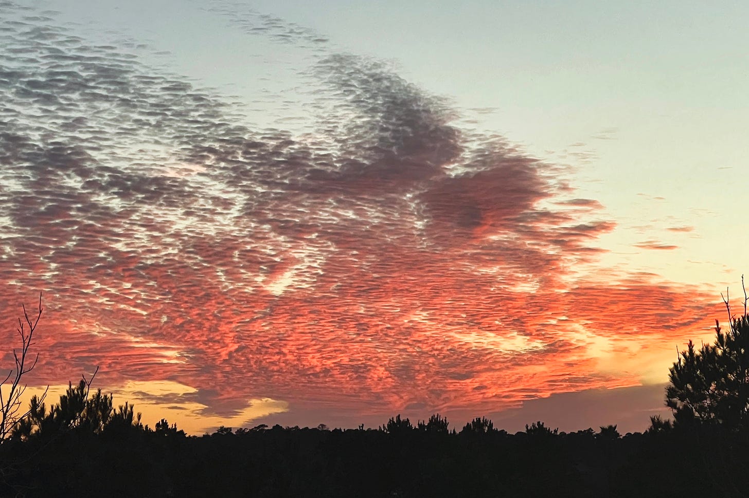 Bright orange and grey clouds of a sunset with dark shadow of the trees below