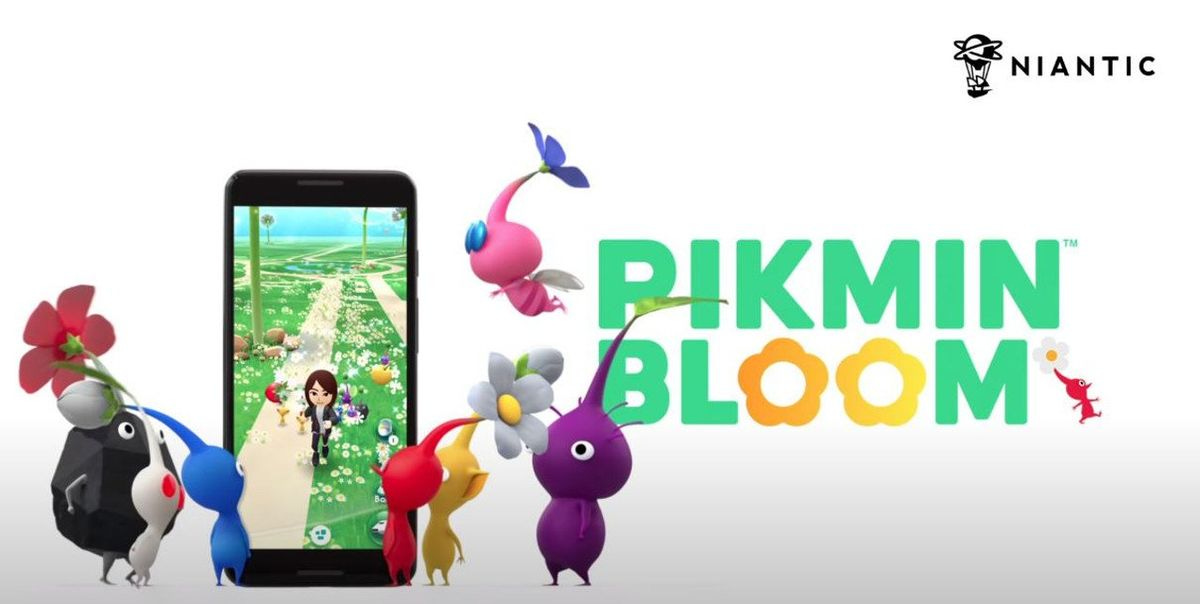 What are the Big Flowers in Pikmin Bloom?