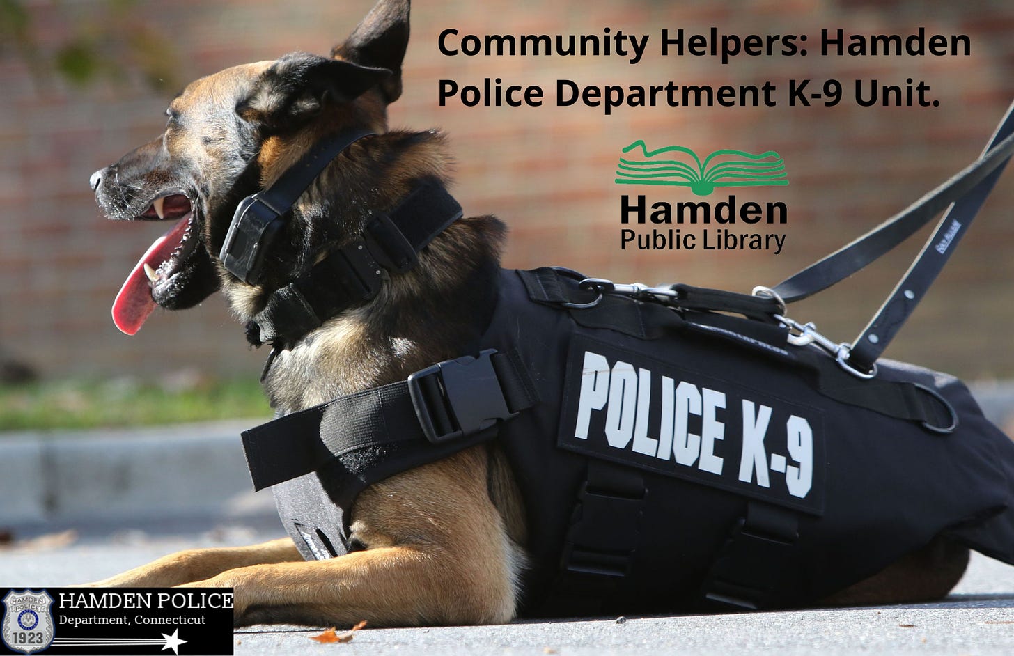 Community Helpers: Hamden Police K-9 Unit