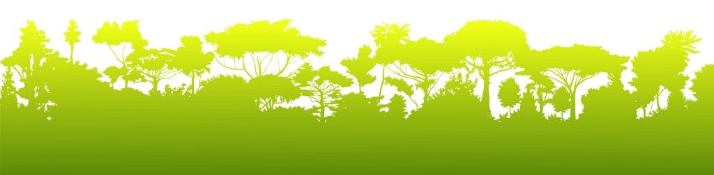 green ombre silhouette of a tropical forest treeline