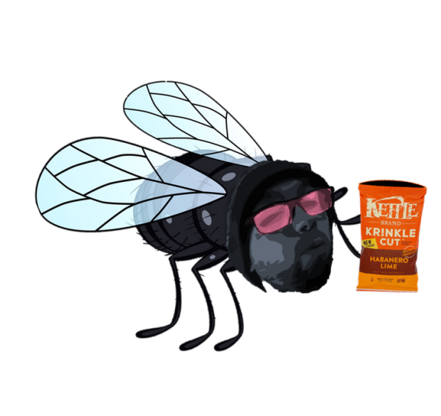 Roy Merrick Memes World Productions MWP Oatmeal Joey Arnold, JOEY THE FLY chips black, 2022-09-29 - Thursday unknown.pngunknown.png