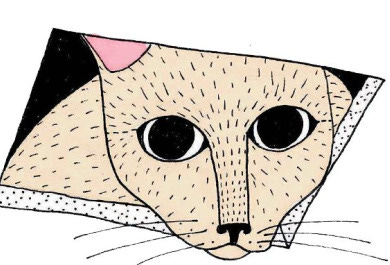 ceiling-cat-390