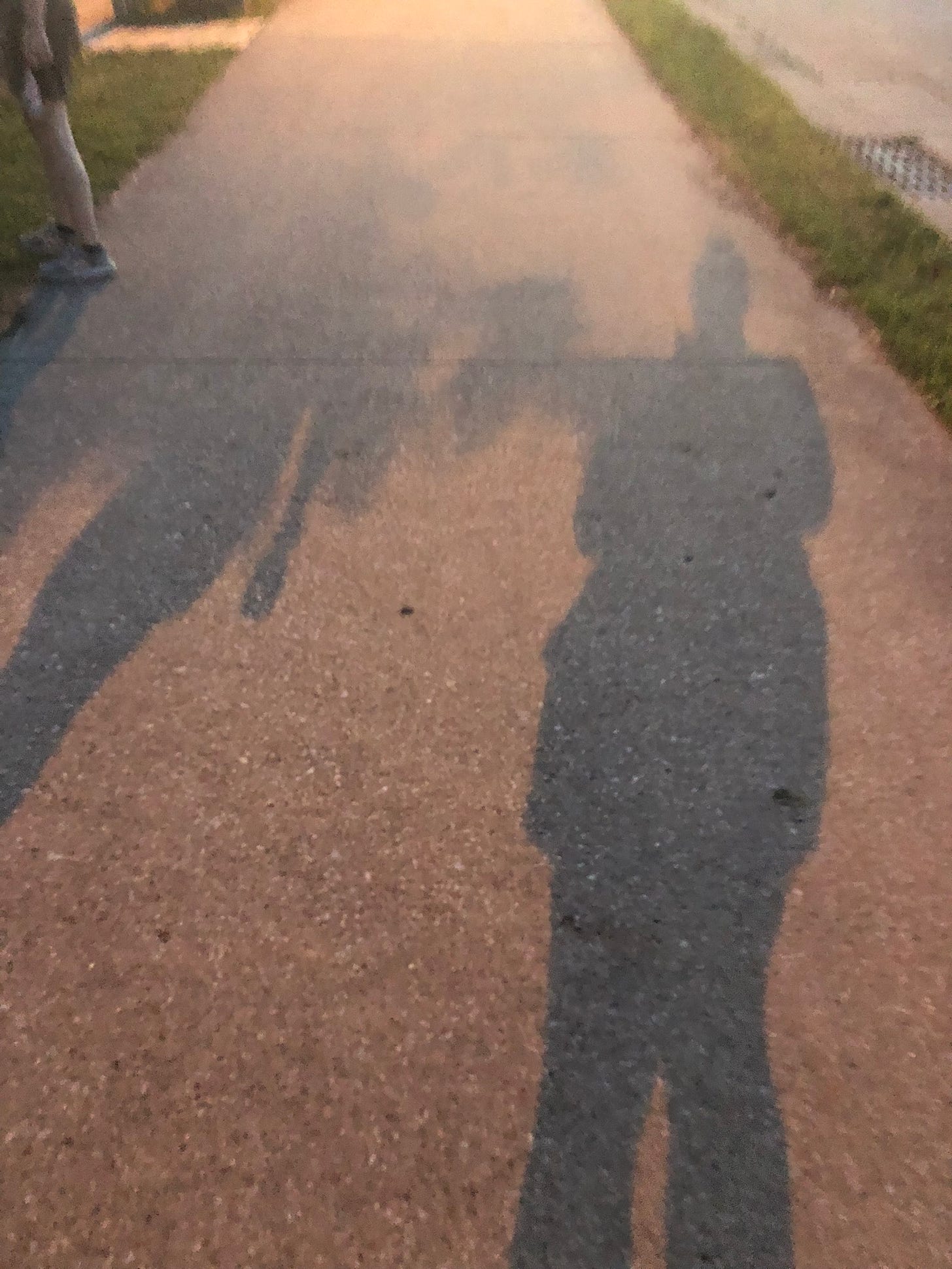 the shadows of two people cast onto a twilight sidewalk, blurred as in motion