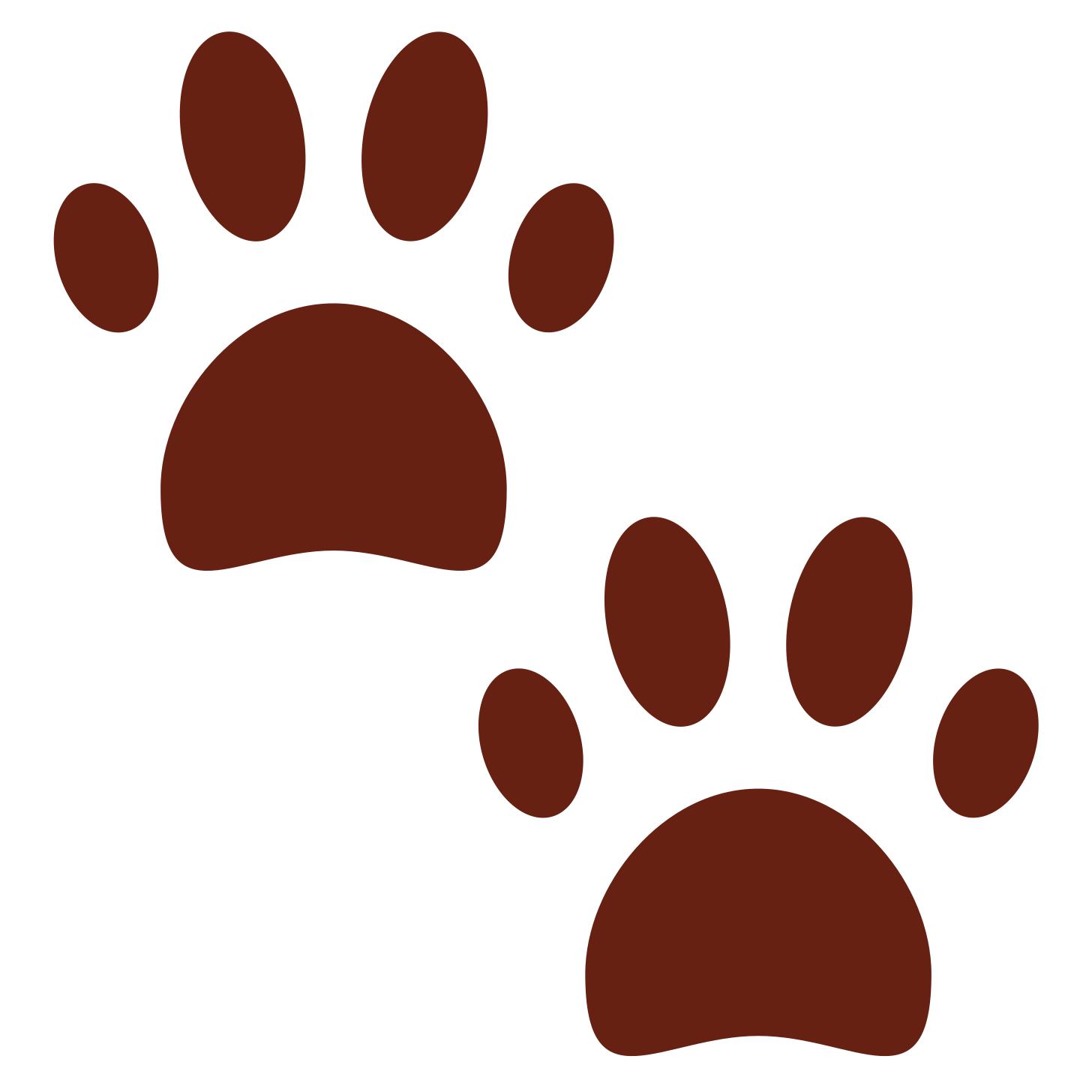 Paw prints