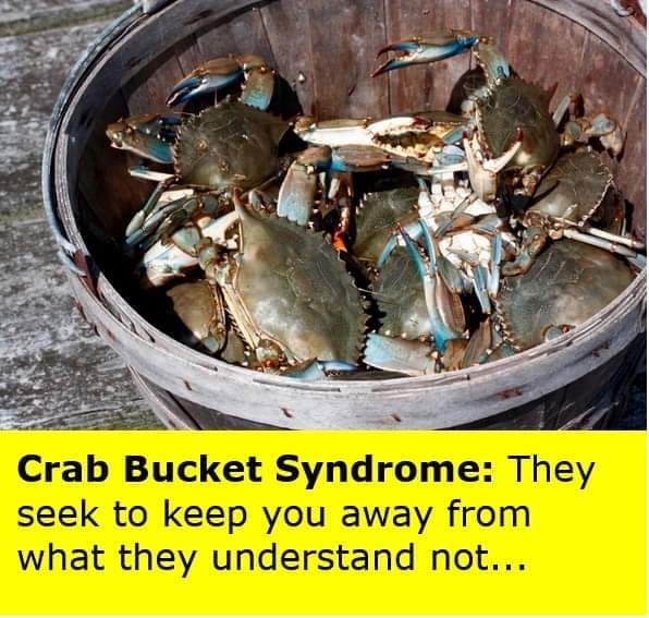 May be an image of crustacean and text that says "Crab Bucket Syndrome: They seek to keep you away from what they understand not..."
