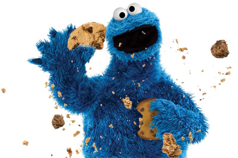 Image result for cookie monster
