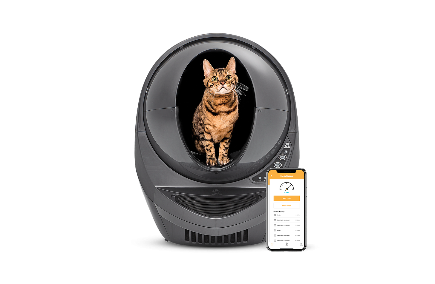 Bengal cat inside grey Litter-Robot 3 Connect with phone app