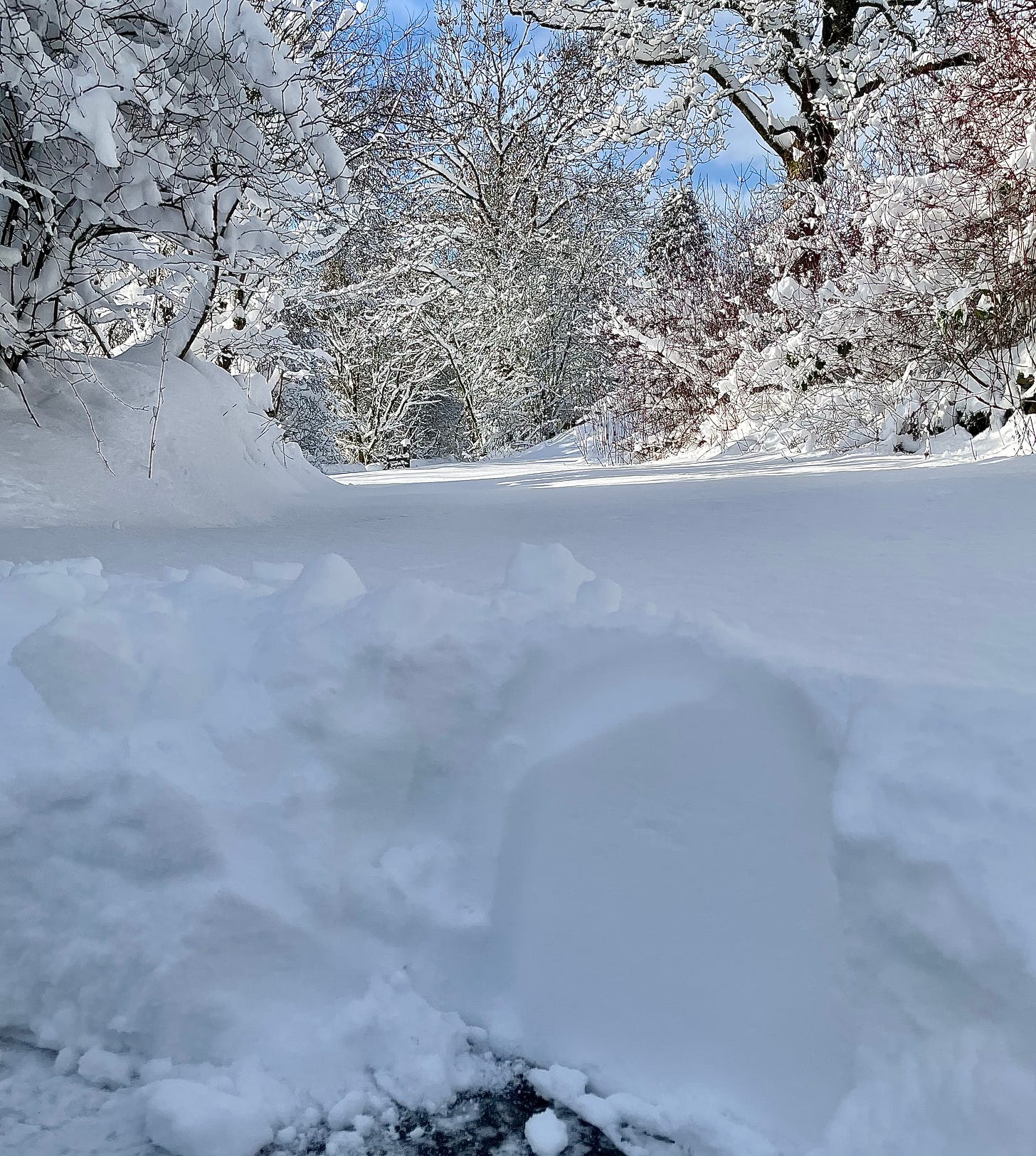 The snowbound road out