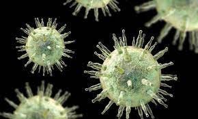 Experimental drug targets cancer associated with Epstein-Barr virus (EBV)
