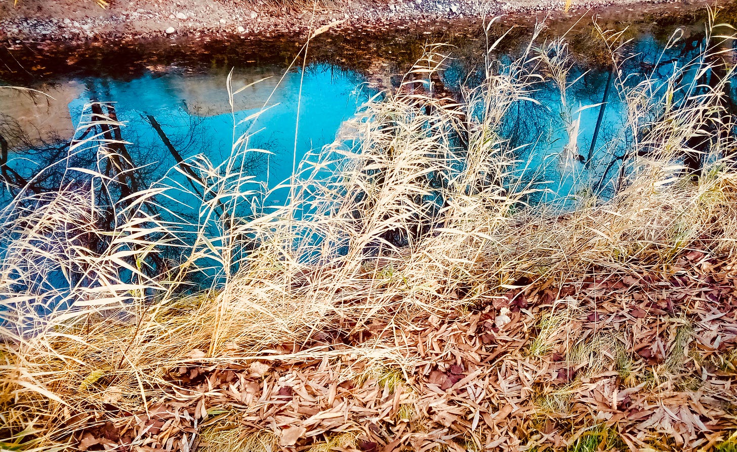 Blue water in a creek lined by golden grasses