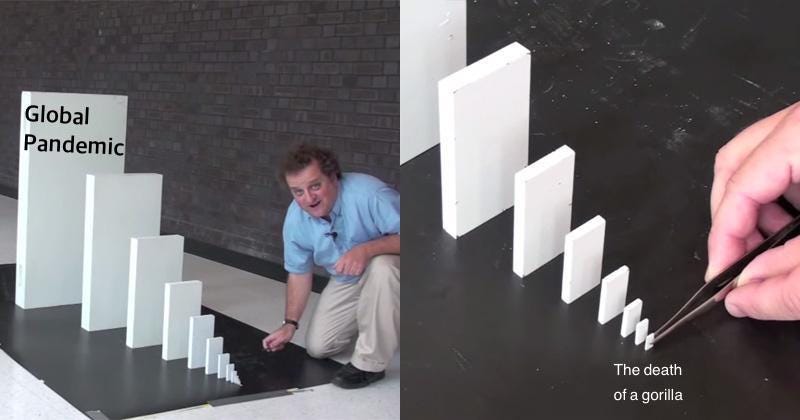 really small domino creates big cascade : MemeTemplatesOfficial