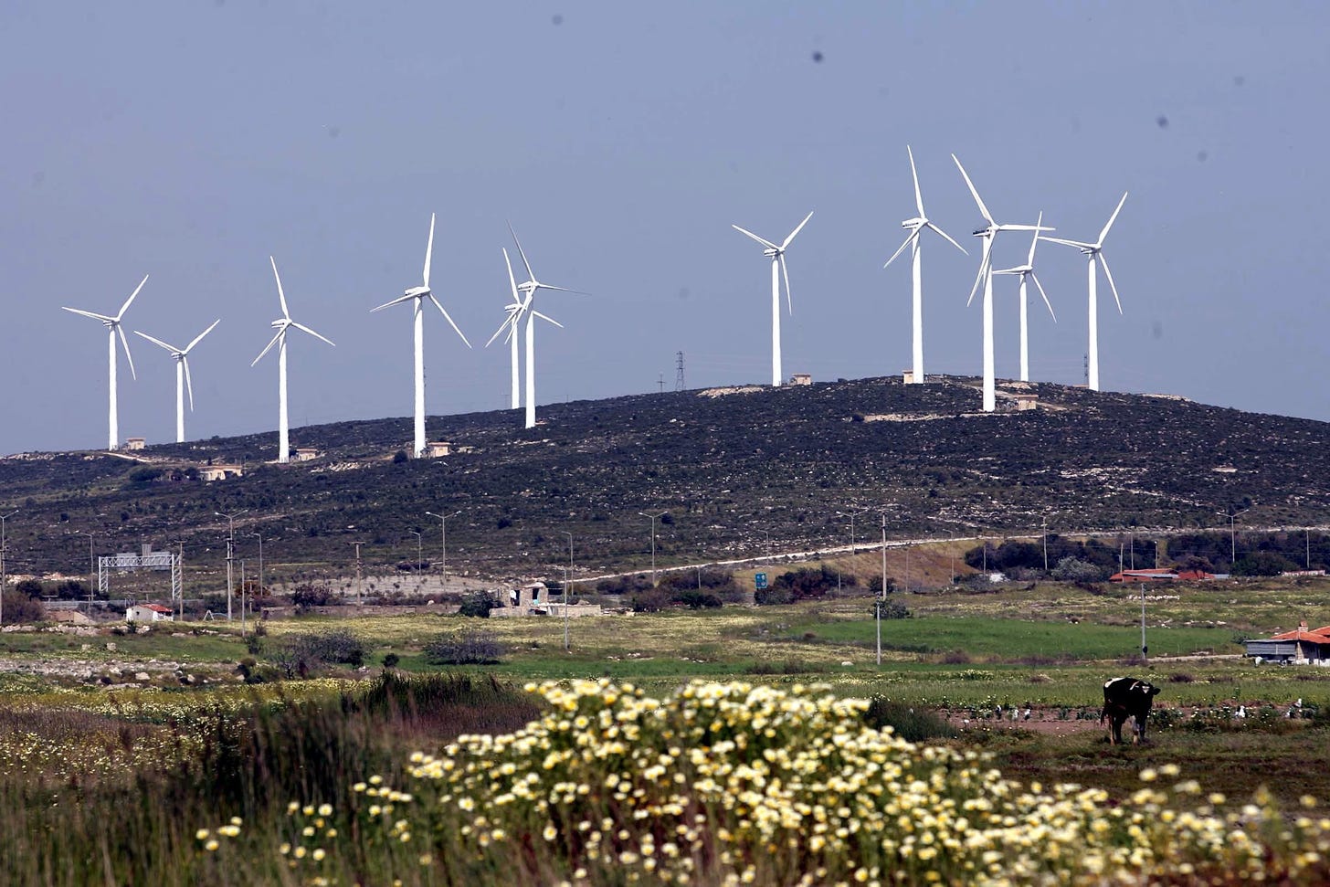 Wind turbines on hill behind agricultural land