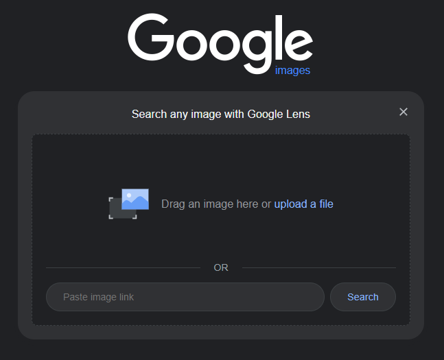 Google-image-search-box