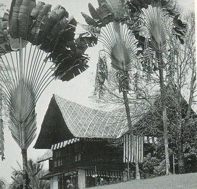 maison-des-palmes-1906.jpg