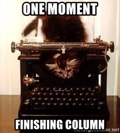 Milo, Kitten Writer - One moment finishing column