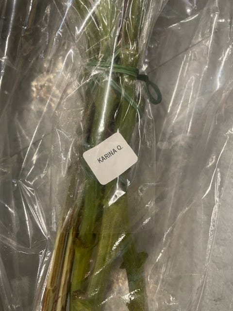 Stems of grocery store roses wrapped in plastic and rubber bands labeled Karina Q.