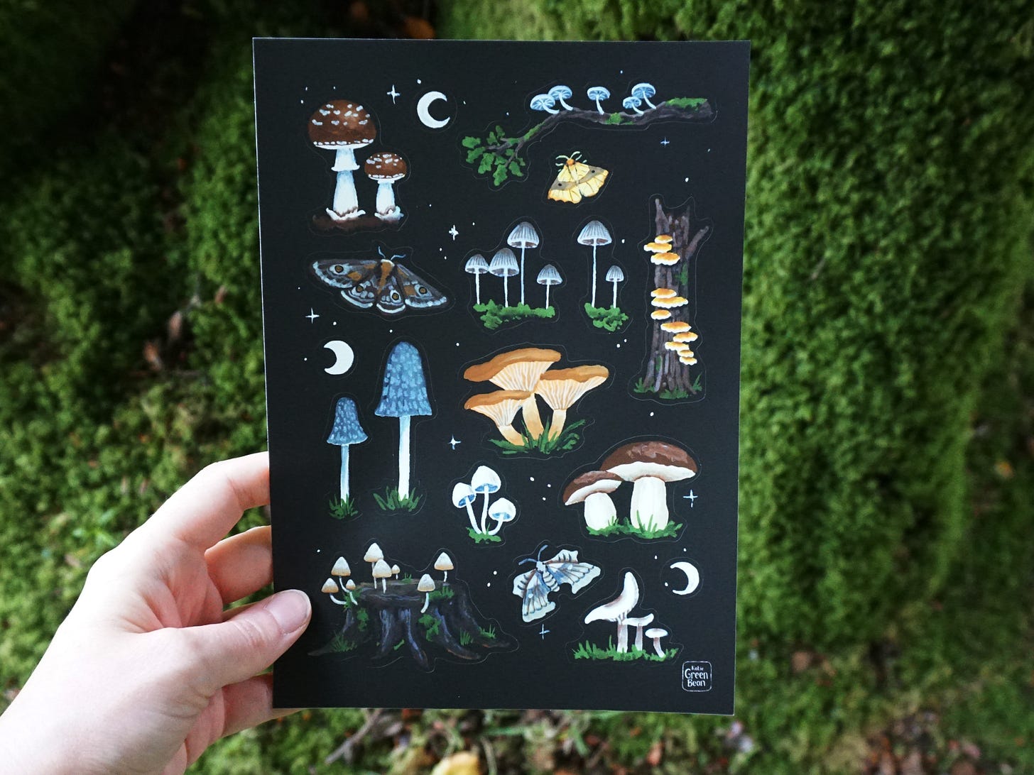 Image description: a large black sticker sheet full of mushrooms and moons and moths.