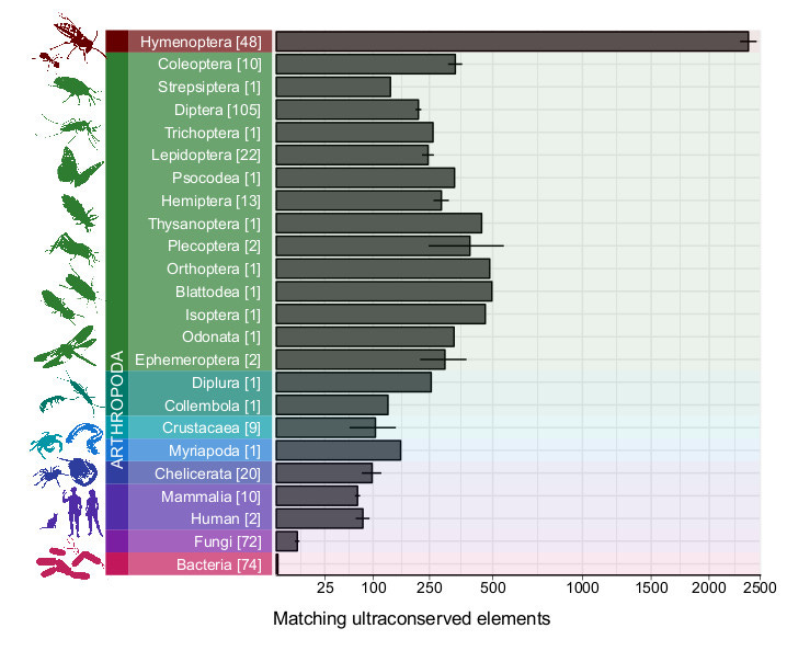 Ultraconserved Elements are Widely Shared across the Tree of Life – Methods  Blog