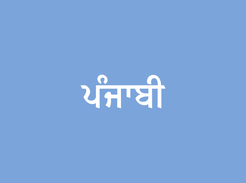 Punjabi Collection icon