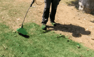 Un employé municipal reverdit une pelouse desséchée. 