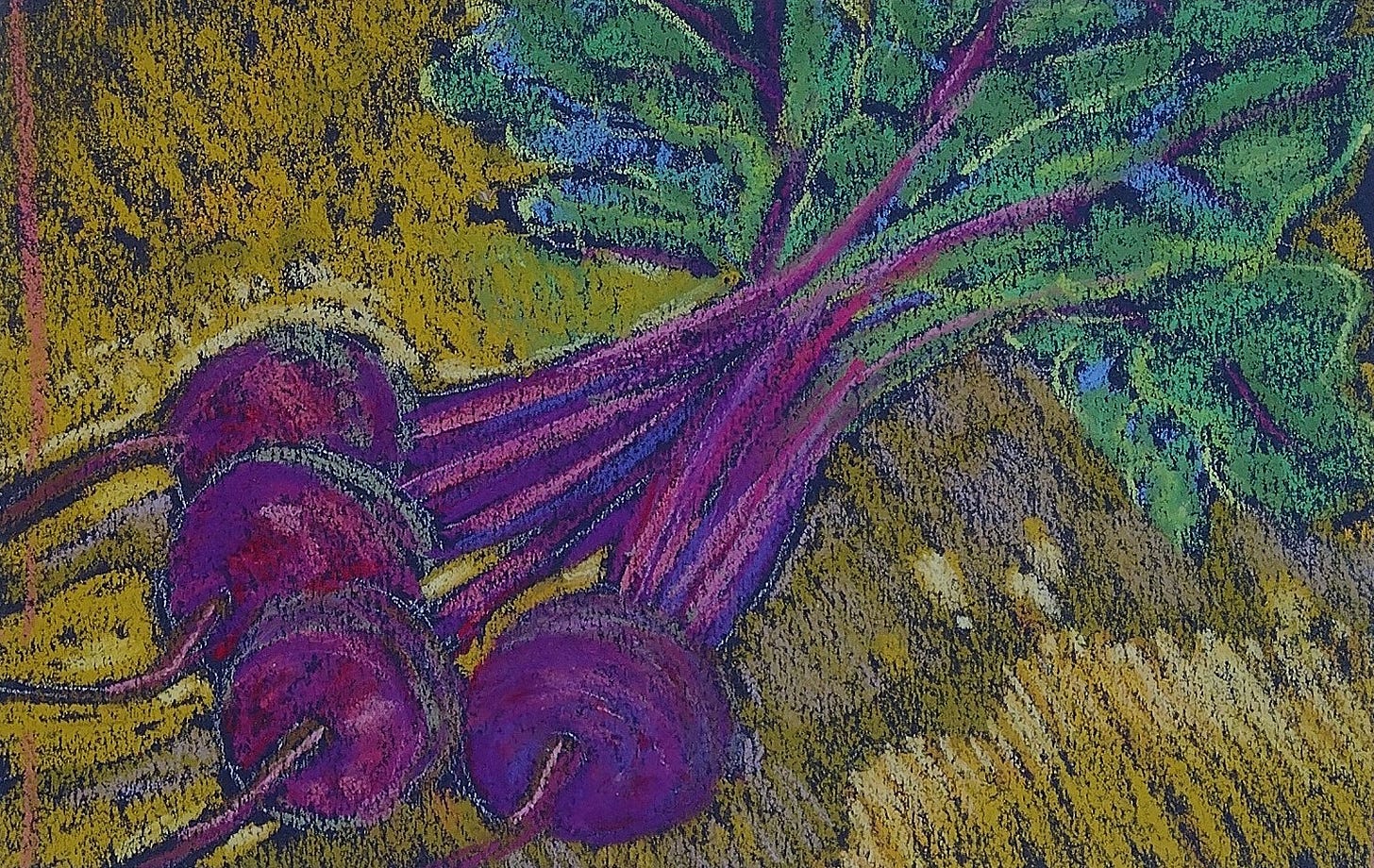 sketch of beets in magenta, green, and gold