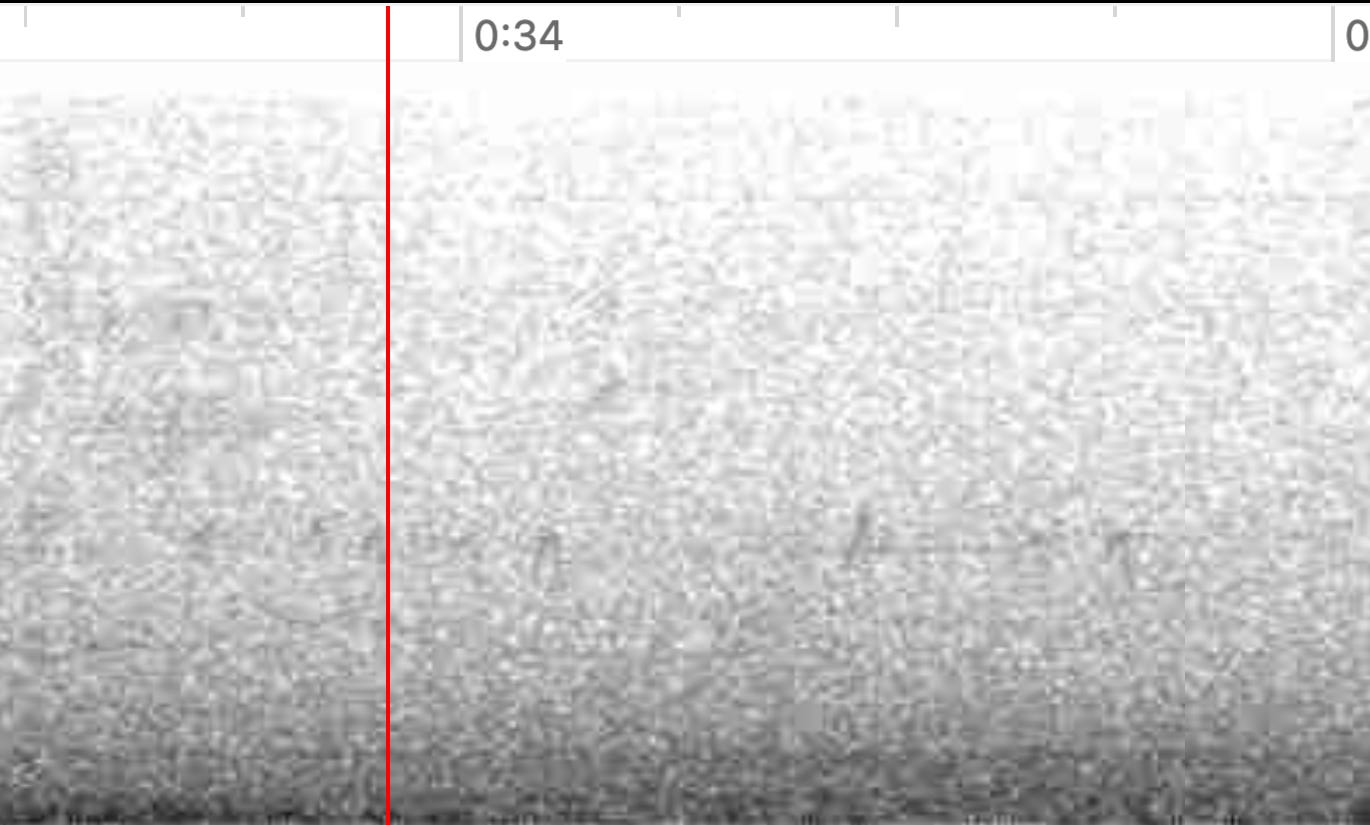 a screenshot of a sound recording spectrogram. it is grayscale, showing lots of gray noise, and through the noise you can just make out a few candy cane shapes in a row at the center of the graph.