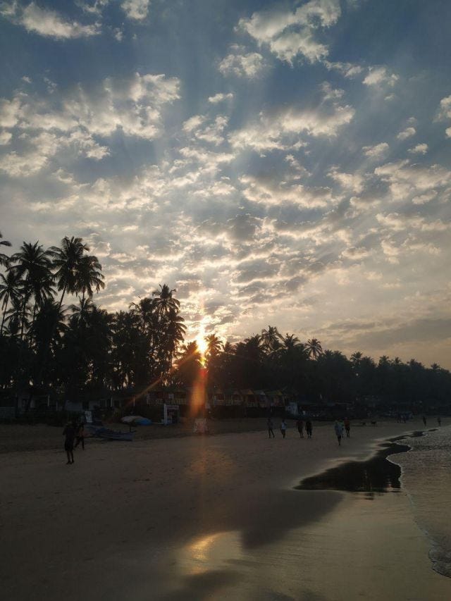 A glorious sunset with trees on the left and the ocean on the right. People are walking along the shore.