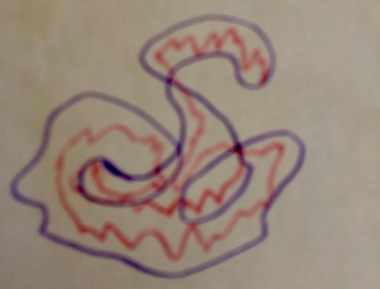 Drawing outlined in purple pencil with some fill-in color in red, showing a shape spiraling upward from a base to a spiraling "stem" with a "head" 
