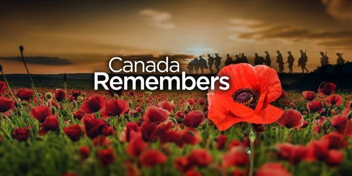 Ottawa Public Health – Remembrance Day – Bay Ward Bulletin