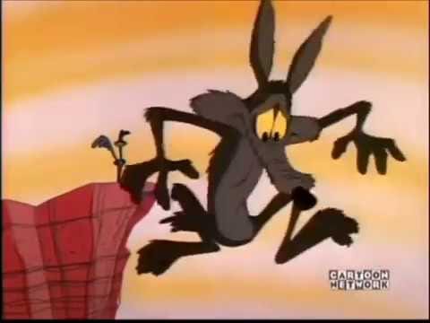 Wile E Coyote and Gravity - YouTube