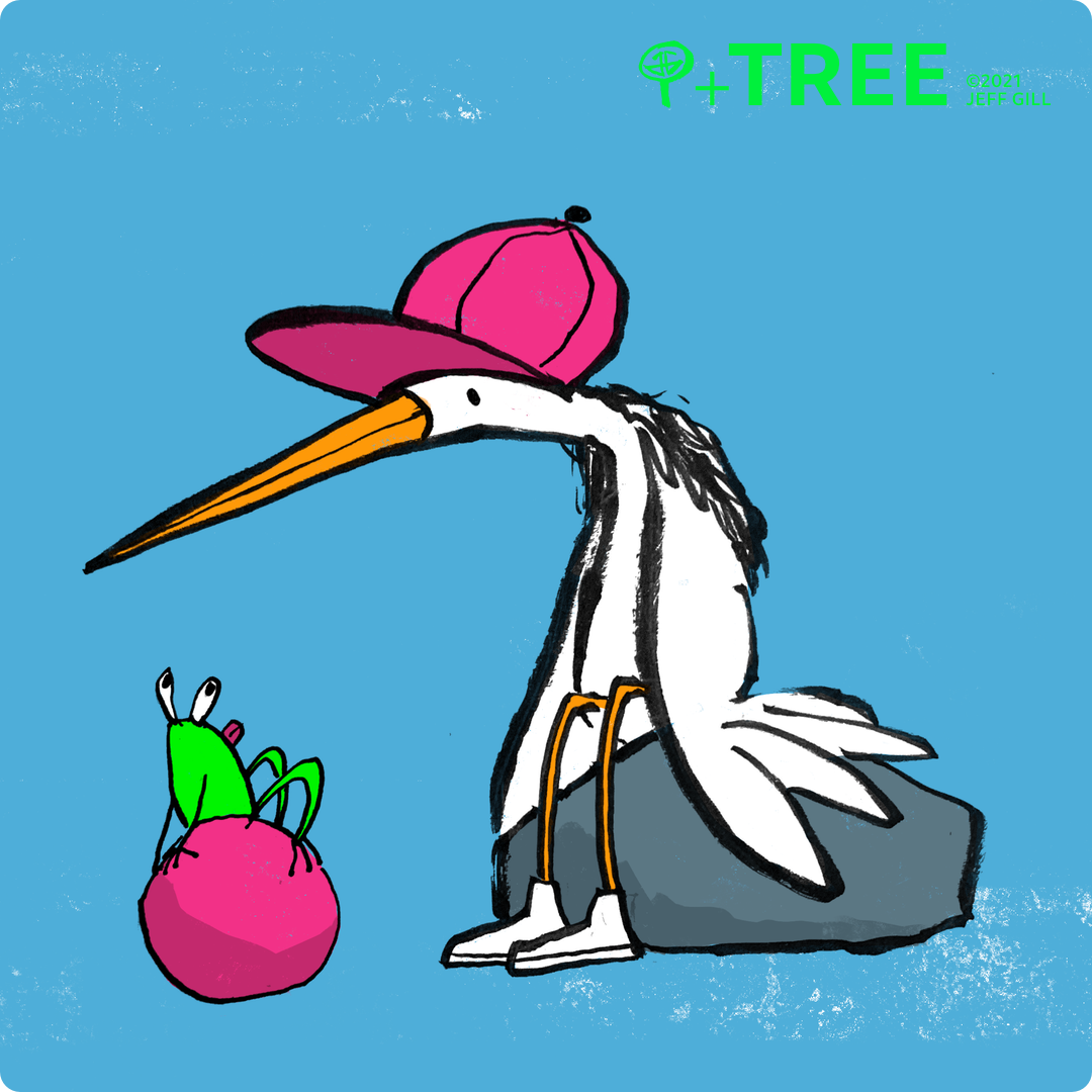 Illustration of a white bird, possibly a stork, wearing a baseball cap and basketball shoes. The bird is sitting on a rock looking at a frog who is sitting on a pink ball. The frog is looking back at the bird and sticking out its tongue. The frog is wearing nothing, not even basketball shoes, so the situation is super awkward.
