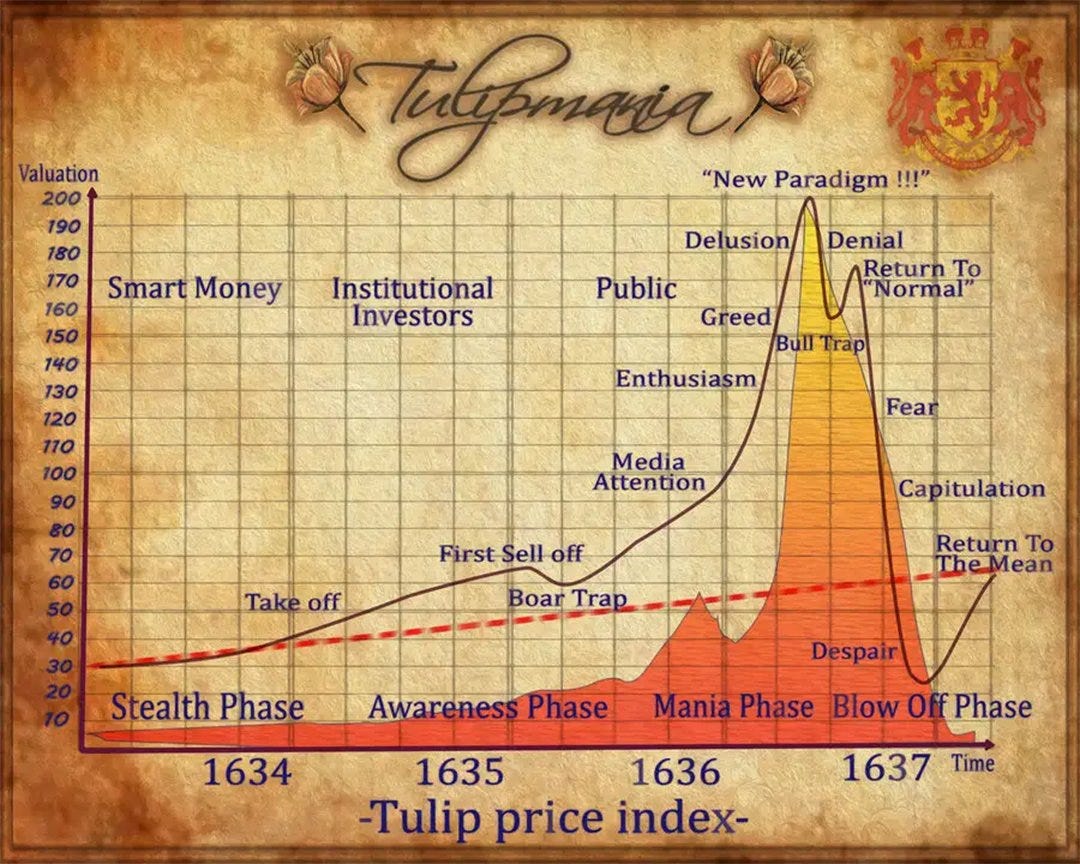 Tulip Price Index - Tulip Mania 1630s - Chart Data Visualization - Finance  Stock Business Art Painting by Jan Brueghel | Buy Posters, Frames, Canvas &amp;  Digital Art Prints | Small, Compact, Medium and Large Variants