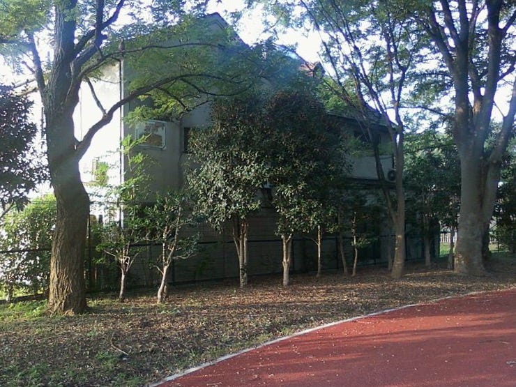 A house behind a fence and trees as seen from a pathway paved in red.