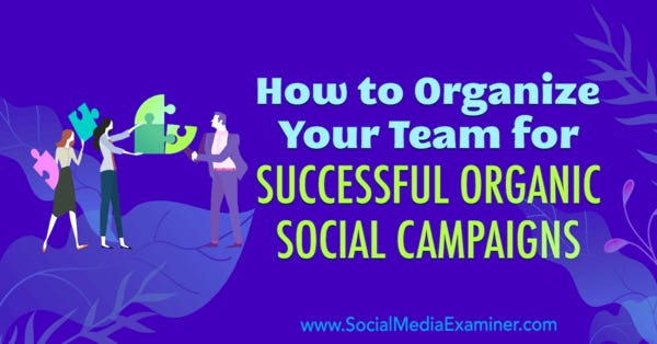 How to Organize Your Team for Successful Organic Social Campaigns